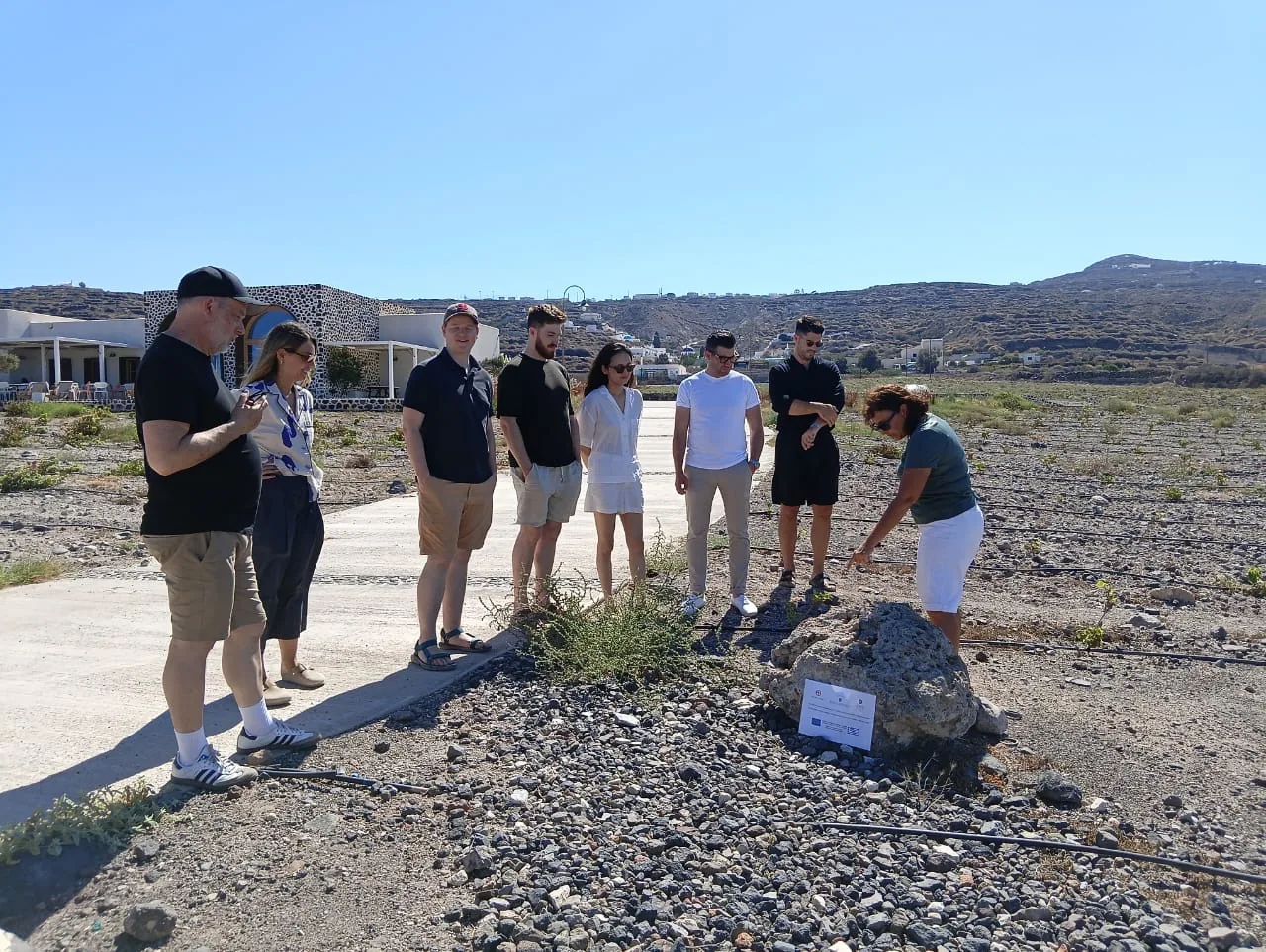 Six Programmes, Ten Countries, 16 Wineries: STELKA COMMS Completes the First Year of Implementation
